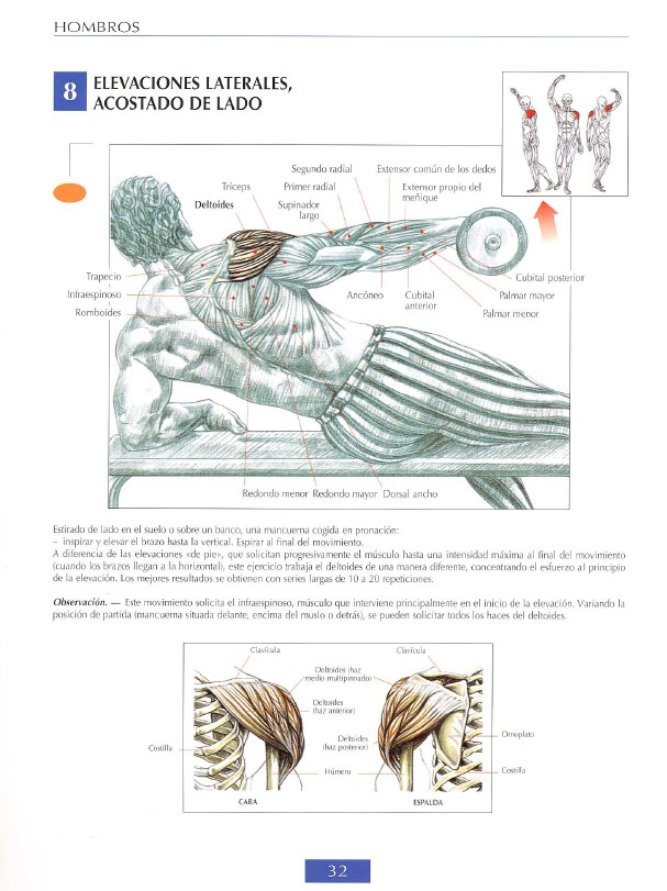 delts modal