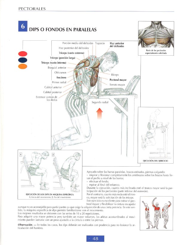 Pecs Modal