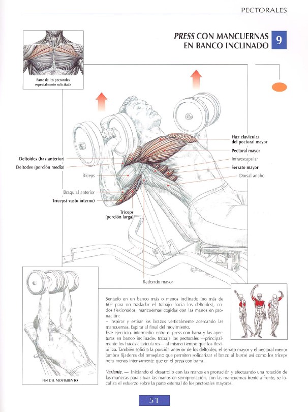 Pecs Modal